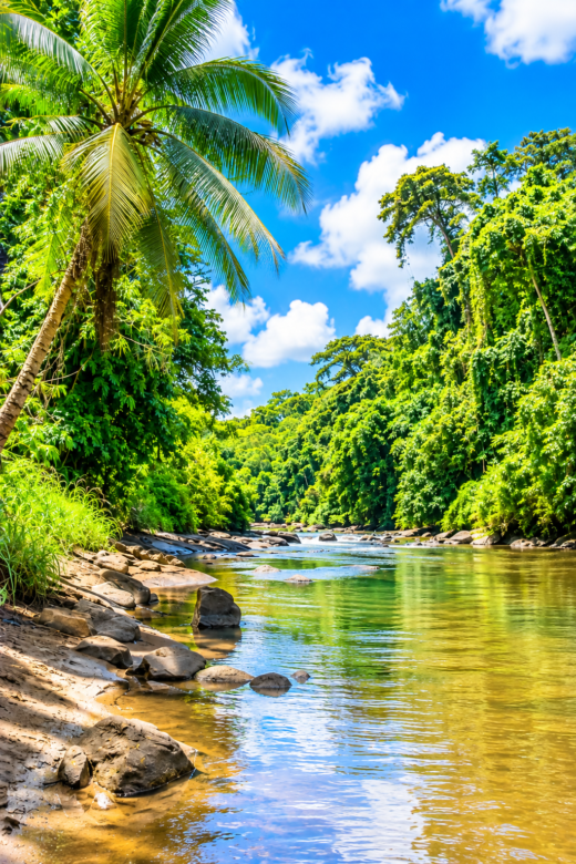NATURE
