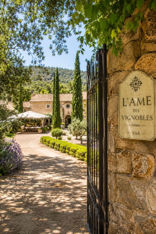L'âme DES VIGNOBLES