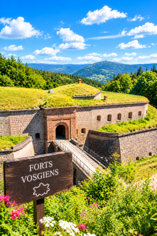 DES FORTS VOSGIENS