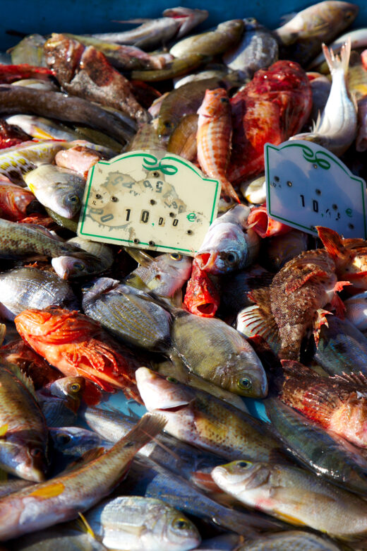 poissons frais